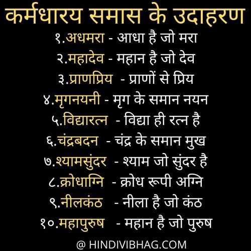 karmdharay samas ke udahran